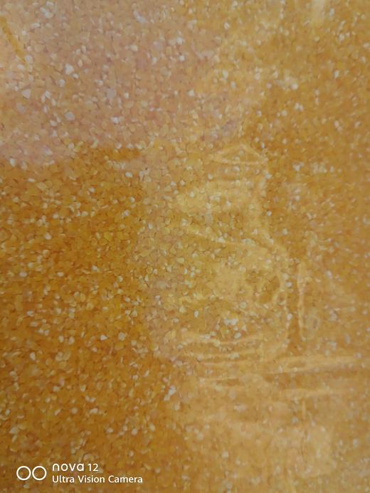 玉米碴（半斤/份） 商品图0