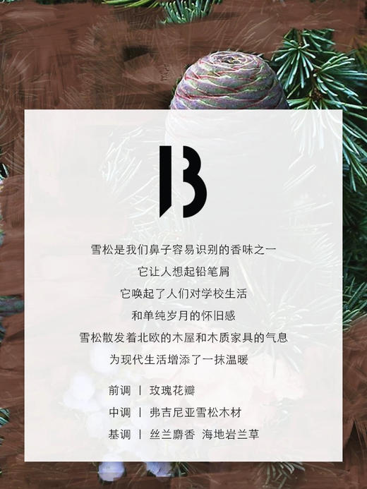 纯原单❗出口俄罗斯免税店正百瑞D北国之春淡香香水 商品图10