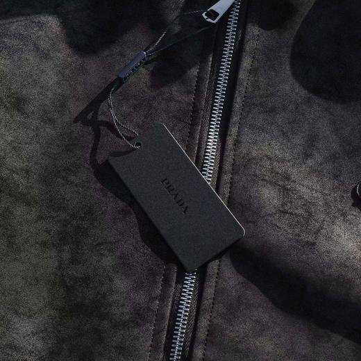 D112924美式复古荔枝纹水貂绒座山雕连帽棉服 商品图14