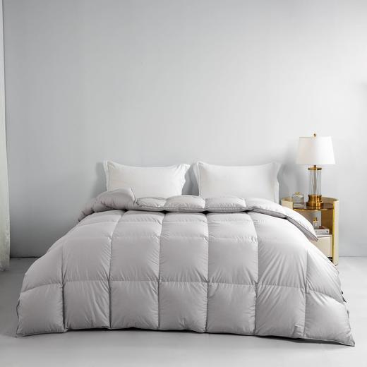 2026新款 华联定制 充绒 新国标 180支匹马棉鹅绒冬被 商品图2