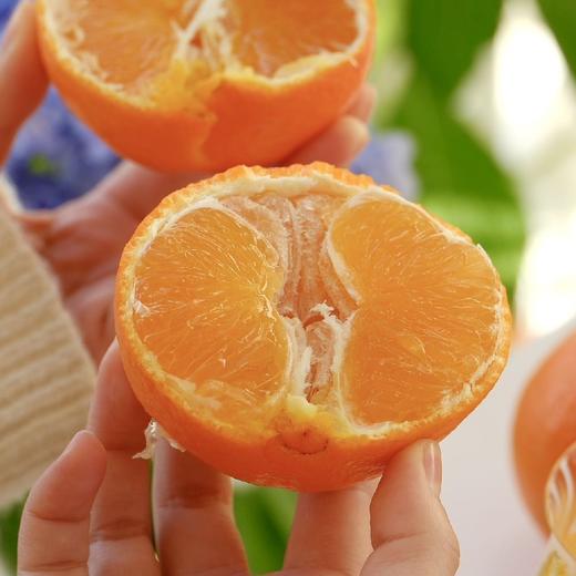 精笃®美柑娘 商品图4