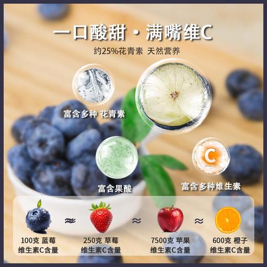 云南高山花香蓝莓L25 商品图3