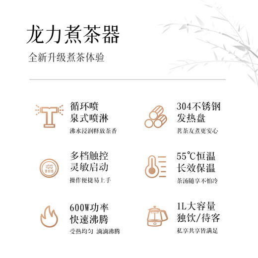 龙力（LONGLI）LL-8627煮茶器/智能调温养生壶304不锈钢保温电水壶1L花茶壶 商品图4