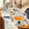 龙力（LONGLI）LL-8627煮茶器/智能调温养生壶304不锈钢保温电水壶1L花茶壶 商品缩略图2