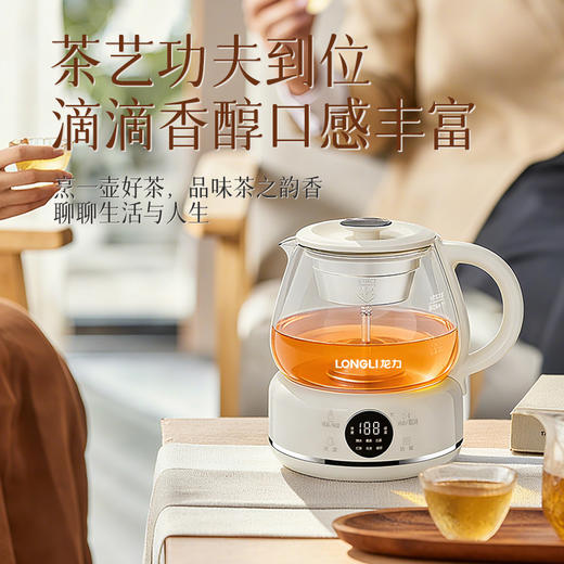 龙力（LONGLI）LL-8627煮茶器/智能调温养生壶304不锈钢保温电水壶1L花茶壶 商品图2