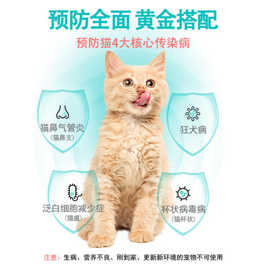 瑞普生物瑞喵舒猫三联猫咪疫苗预防猫瘟鼻支杯状幼猫成猫自打狂犬育苗套餐 商品图1