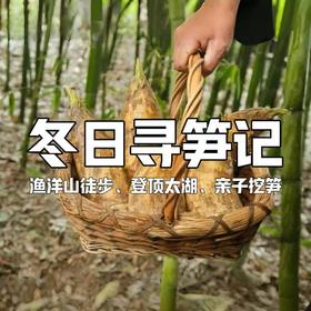 【亲子营】夺笋啊！渔洋山冬日寻笋记，解锁冬日竹林宝藏图鉴！