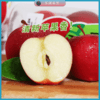 新西兰进口乐淇Rockit苹果 商品缩略图2