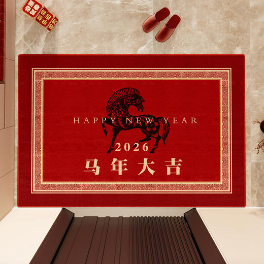 【新年入户地垫】喜庆进门圈绒地垫 防滑耐脏家用门口脚垫可裁剪  商品图13
