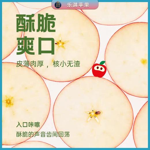 新西兰进口乐淇Rockit苹果 商品图3
