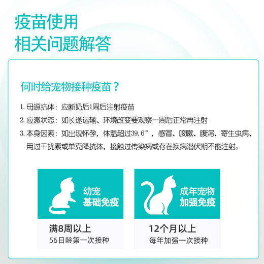 瑞普生物瑞喵舒猫三联猫咪疫苗预防猫瘟鼻支杯状幼猫成猫自打狂犬育苗套餐 商品图3