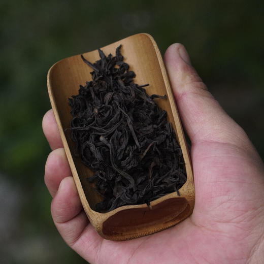 新品// 推荐款 2013年 老肉桂 顺滑平和 武夷山岩茶 仅20斤 商品图3