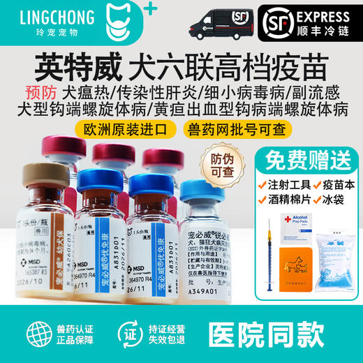 狗狗疫苗英特威四联疫苗幼犬二联小狗疫苗六联成犬宠必威狂犬套餐 商品图0