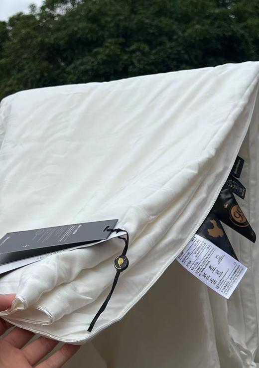 D112937柔软轻盈蚕丝被盖在身上完全没有压迫感 商品图7