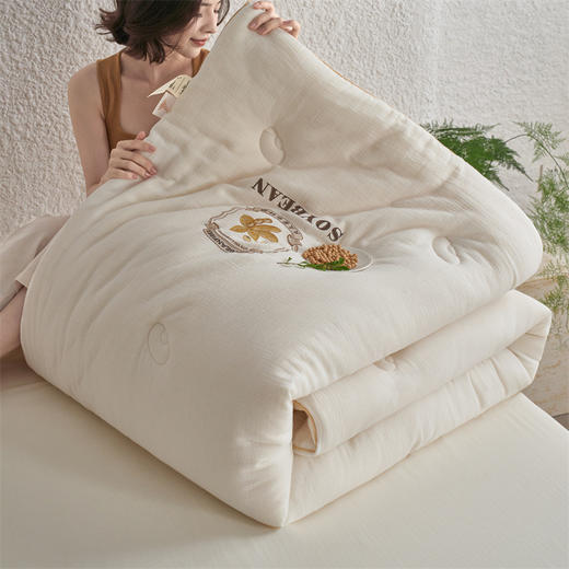 【A类双层纱全棉大豆被】全棉双层纱被芯被子大豆纤维被四季秋冬保暖柔软 商品图1