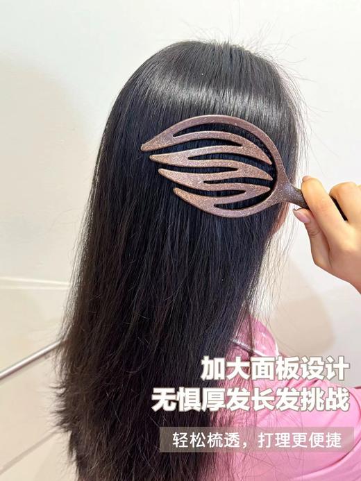 D112940全新升级二代松塔贝壳野猪鬃梳子套装 商品图6