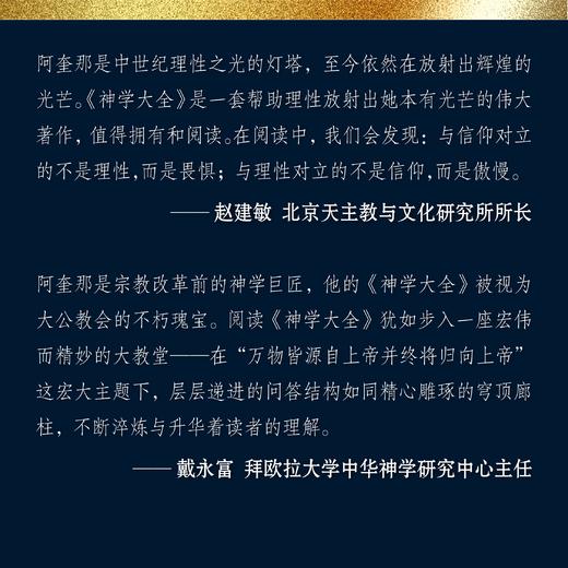 普通版《神学大全》全19册 多玛斯·阿奎那 中文简体 全译本未删减 商品图6