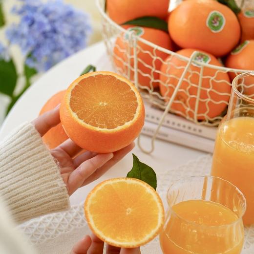 精笃®美柑娘 商品图3