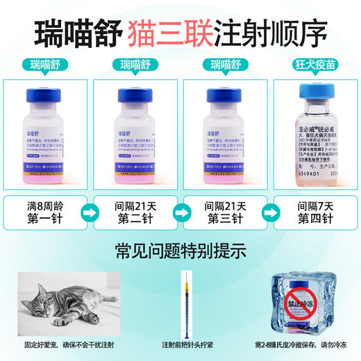 瑞普生物瑞喵舒猫三联猫咪疫苗预防猫瘟鼻支杯状幼猫成猫自打狂犬育苗套餐 商品图2