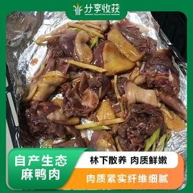 自产生态麻鸭肉（冷冻） | 林下散养 肉质鲜嫩 | 石嫣农场 * Goose And Duck | Self-Produced