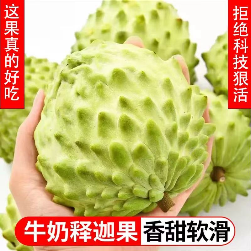 【冰淇淋口感❗️新鲜大目释迦果】软熟后如冰淇淋般软糯超甜，当季番荔枝佛头果，圆润饱满软糯嫩滑，奶香诱惑摩尼果L