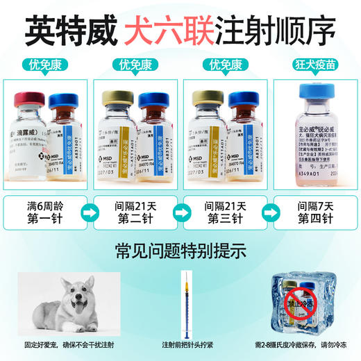 狗狗疫苗英特威四联疫苗幼犬二联小狗疫苗六联成犬宠必威狂犬套餐 商品图2
