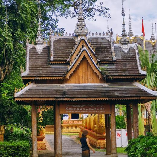 云南·勐景来一日游，寻找中缅第一寨 | 与缅北一步之遥的千年傣寨（景迈山地区上门接送） 商品图1