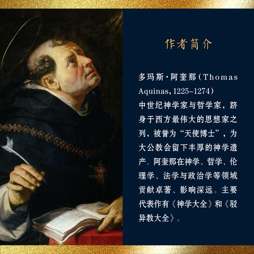 普通版《神学大全》全19册 多玛斯·阿奎那 中文简体 全译本未删减 商品图4