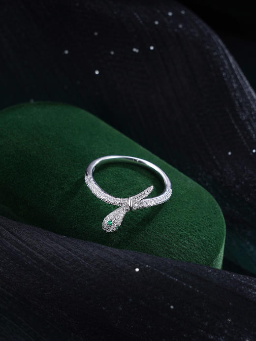 子佩集S925银【灵蛇之恋】戒指【JL070655】纯银时尚2412 商品图0