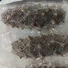 大连低压冷蒸鲜食刺参18-20头可追溯 商品缩略图2