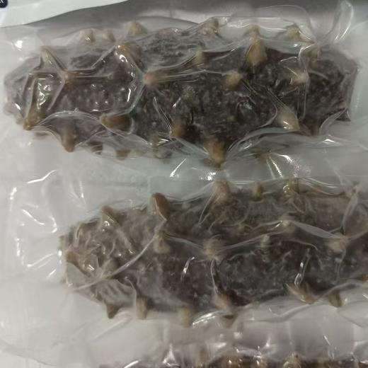 大连低压冷蒸鲜食刺参18-20头可追溯 商品图2