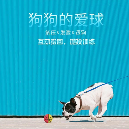 锻炼手眼协调能力6cm橡胶小孩儿童玩具球弹力球-纪念日百货门店同款167946949 商品图1