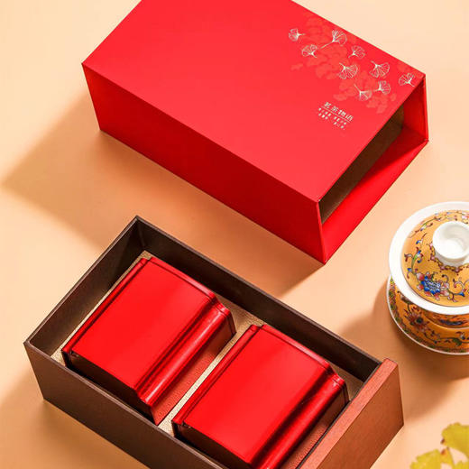 素言茶坊~茗茶物语大红袍120克 商品图0