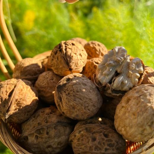 云南老树有机核桃 3斤礼盒装   A-5584 商品图4