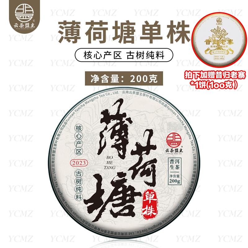 【老客必拍】年终大促，双十二重磅福利！2023年头春头采【薄荷塘-茶王地-单株】核心产区草果地古树单株！限时拍1发6附赠昔归老寨1饼！