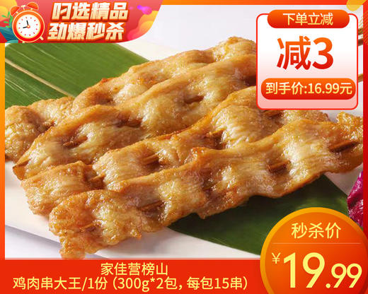 【预售-12月29日配送】家佳营榜山鸡肉串大王/1份（300g*2包，每包15串）生产日期：25年8月 商品图0