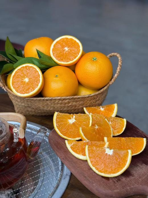 现摘 正宗湖北早红脐橙——九月红果冻橙 商品图4