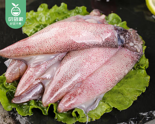 东山海捕冰鲜带籽鱿鱼/1份（约400g） 商品图3