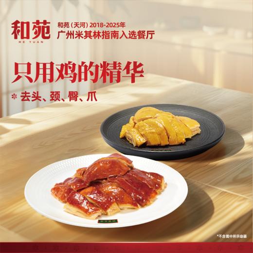 【和苑酒家·黄羽豉油鸡&盐焗鸡】蝉联8年米其林榜单的广州餐厅匠心出品 新鲜食材 现杀现煮现斩| 精选广东本土黄羽鸡 去头颈臀爪 营养好吃无添加 加热即食 商品图2