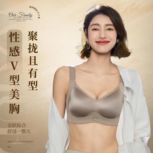 曼芮凯诗【豹力觉醒】重塑胸型聚拢提拉性感调整型文胸 K0197 随单赠送延长扣 商品图1