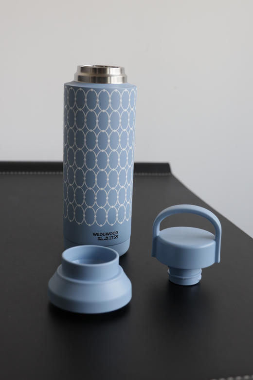 元单库存 维斯5德 316不锈钢手提随行保温杯（500ml） PJ049 商品图4