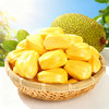 【越南黄肉菠萝蜜】果肉浅黄 鲜亮诱人 肉质细腻 香甜如蜜 果肉硕大 4种规格任选 商品缩略图1