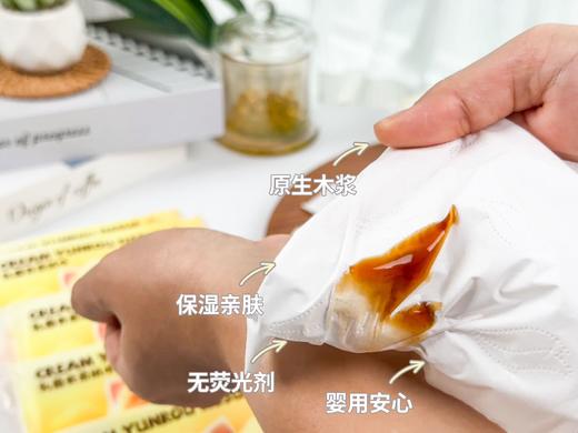 双12秒杀❗️❗️ 体会用丝绸擦肌肤的快乐🧻安娜与国王乳霜云柔纸巾🔥细腻亲肤☺️柔软触感☁️母婴适用🚼给宝宝和妈妈温柔的呵护💕原生木浆🪵无荧光剂👍湿水不易破💦三层加厚压花设计 商品图3