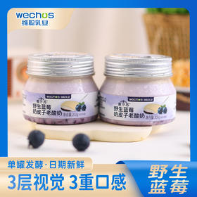 内蒙维聪  野生蓝莓奶皮子老酸奶 200g*8罐