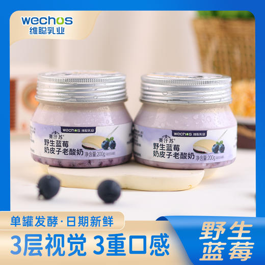 内蒙维聪  野生蓝莓奶皮子老酸奶 200g*8罐 商品图0