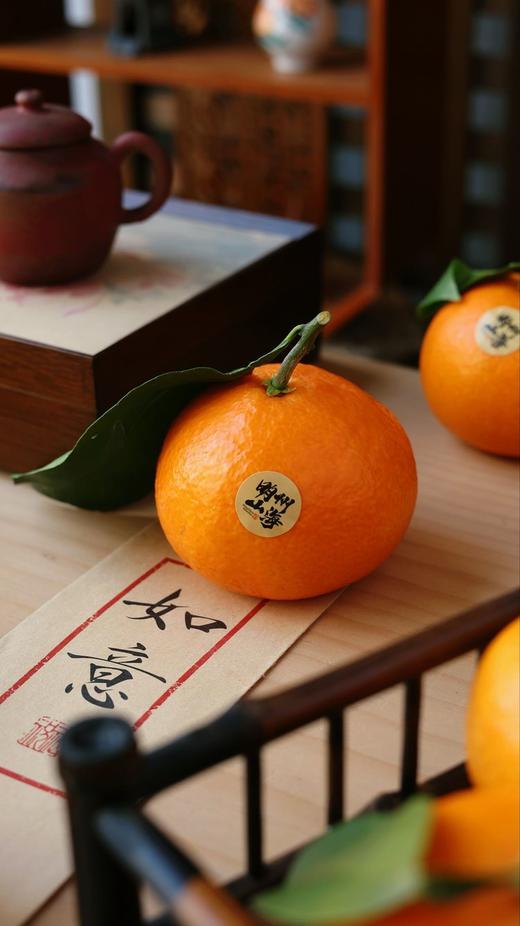 象山红美人 商品图2