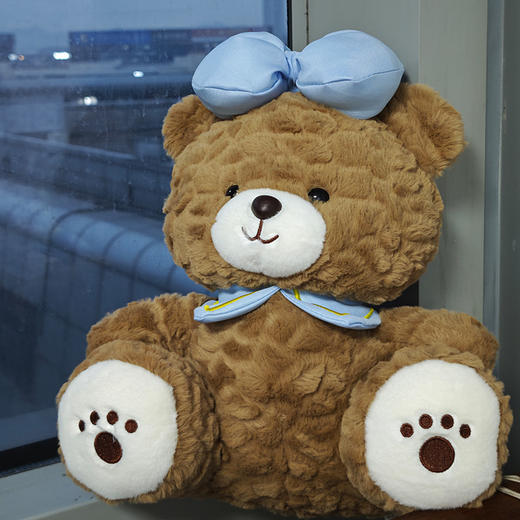 30cm蝴蝶结小熊毛绒公仔-纪念日百货门店同款167745717 商品图1