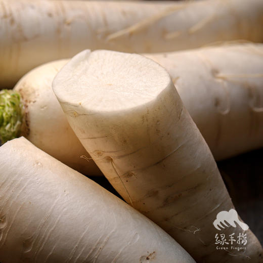生态白萝卜 | 绿家自产* Ecological  white radish | Self-production 商品图1