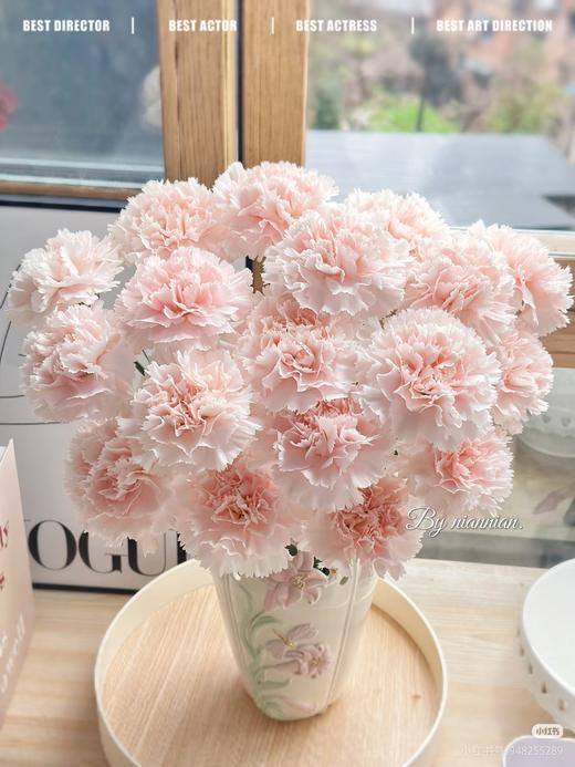 康乃馨流光粉 商品图0