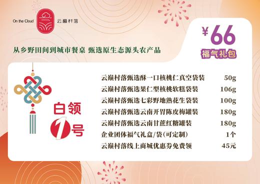 白领1号福气礼包66元 商品图0